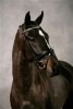 Eskil