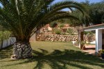 Palm