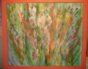 Gladiolus
