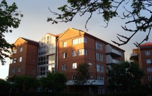 Föreningens bastu finns överst i hus 1 (LB-foto)