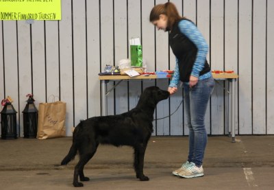 Tina og Tibia på valpeshow i Tønsberg. Foto: Steinar Sværen