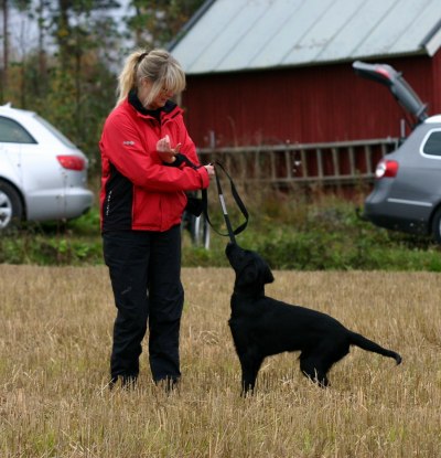 Gry & Uno