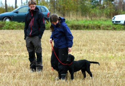 Hallgeir, Tina & Tibia