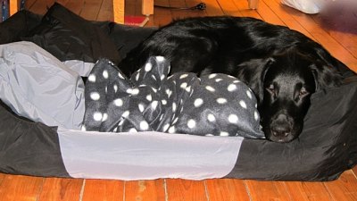 Sover godt. :-)