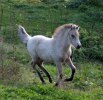 063_moldi