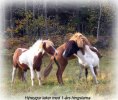 hygge_leker_350