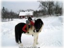 vinterbild_750_P2160046