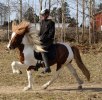 april2010 623_gneisti