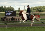 042_gneisti
