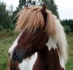 huvudbild