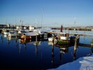 Efter en kall natt ligger hamnens vatten som en spegel och bryggorna fulla med frost. Fotograf Emma Brissman