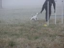 Sen var det dags för lite agility