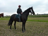 Galopp på fältet med jocky