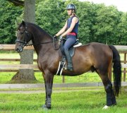 Flipper & Lina 2010