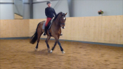 Rosita Torevik rider Newton