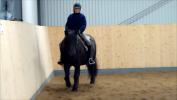 Cissi Wikström rider Joysan