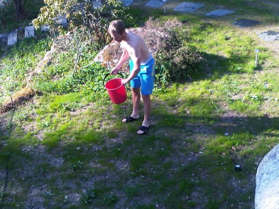 I also had some time over for gardening.
