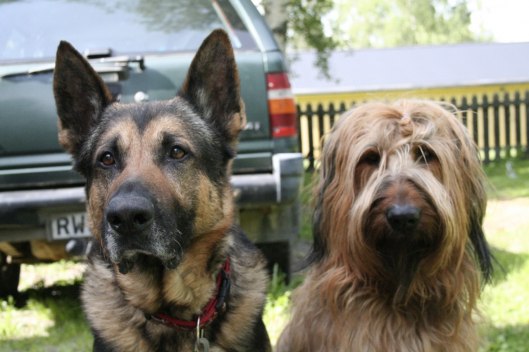 Tara & Rocky 28/6 2011