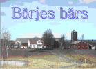 Börjes bärs