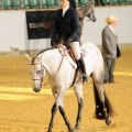 She Blue My Money - Quarter EM 2010 - 5:a Jr. Hunter under Saddle