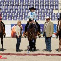 Just Jazz N Jam - Q7 Aachen - Western Riding Maturity Champion
