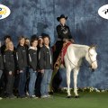 Brave Sonny Blue - Paint EM 2009 - Pleasure Futurity Res. Champion