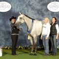 She Blue My Money & Malin Jansson - Quarter EM 2010 - Brons Performance Mares