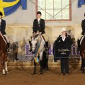 She Blue My Money - Quarter SM 2010 - Guld Hunter under Saddle