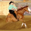 Dancing Snowflake - Quarter SM 2010 Reining 5:a - Paint EM 2010 Sr. Reining 4:a