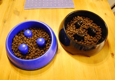 Matskål för glupska