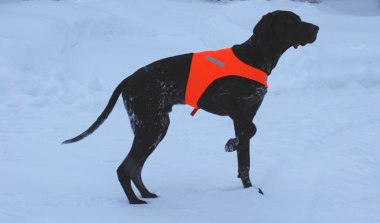 Jakttäcke av halvmodell, med Lynx som modell.
