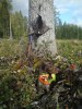 Klura fixar ungtjäder