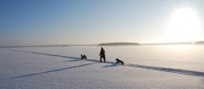 Skidtur på kågefjärden2