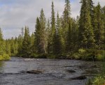 Vettasjoki