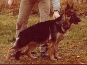 Cimarosas Helma                               e. Mecky vd Teufleskanzel  u. Cimarosas Brenda