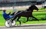 Hans Andersson tränar Katlin i Halmstad 2011-05-18.