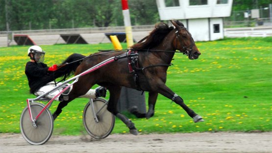 Halmstad 2011-05-18