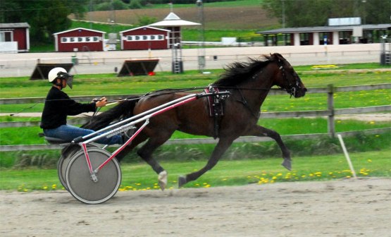 Halmstad 2011-05-14