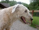 Bild 3009