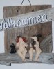 Välkommenskylt 
