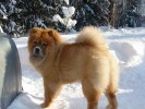 Sunna 100222a
