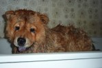 100528 008 Sunna i badkaret bm