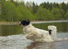 100519 013 Baby i badet brm