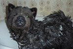 Juni i badet 100407 001 brm