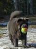 100412 113 Juni boll i mun brm