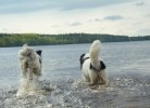 100519 248 Baby och Nelly i badet brm