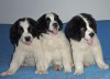 110823 Morris, Blanka, Bernhard 033