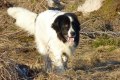 100416 124 Nelly brm2