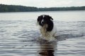 100519 162 Nelly i vattenstänk