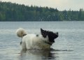 100519 288 Nelly skakar bort vatten brm